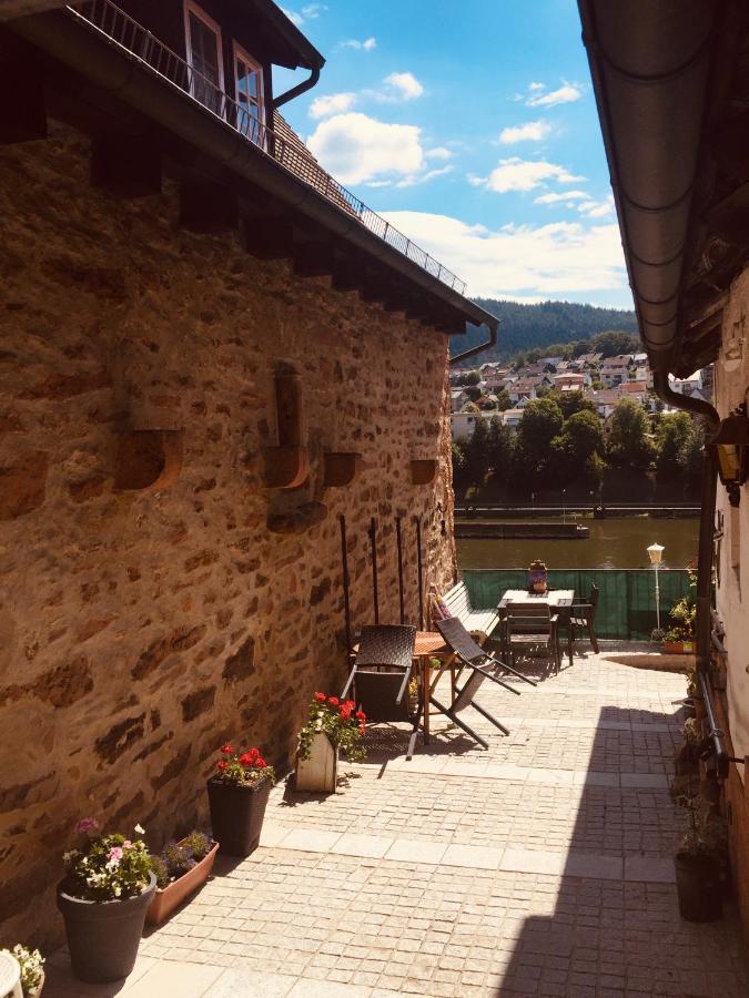 Neckarblick,Natur, Altstadt Хиршхорн Экстерьер фото