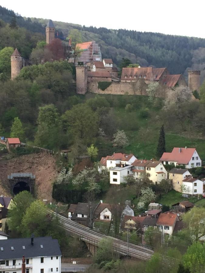 Neckarblick,Natur, Altstadt Хиршхорн Экстерьер фото