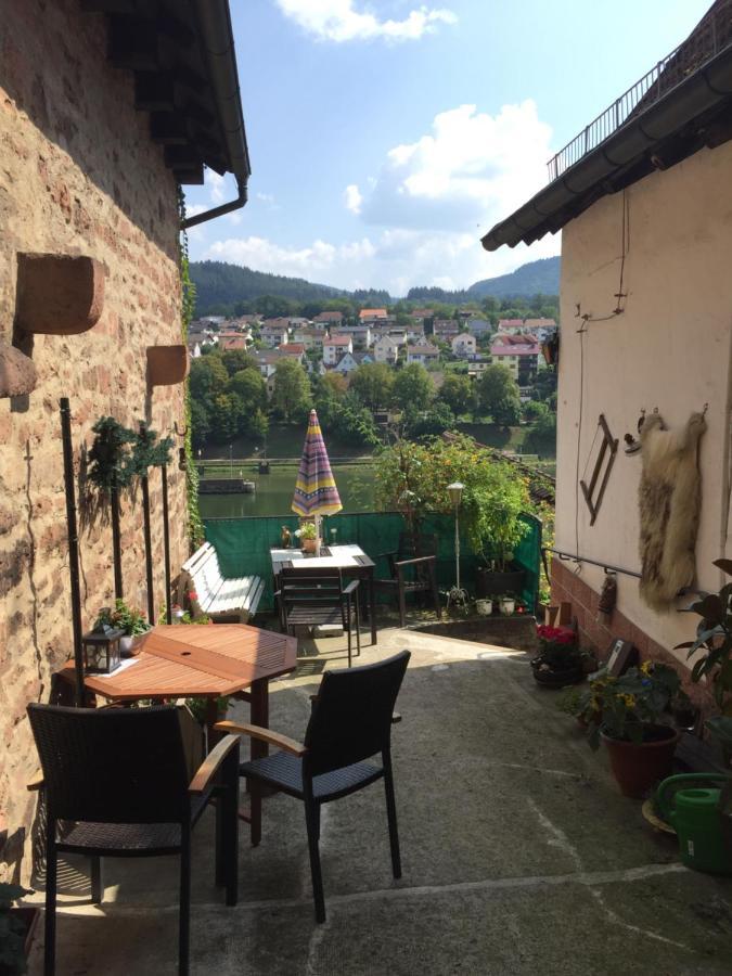 Neckarblick,Natur, Altstadt Хиршхорн Экстерьер фото