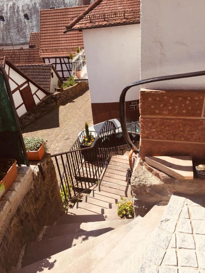 Neckarblick,Natur, Altstadt Хиршхорн Экстерьер фото