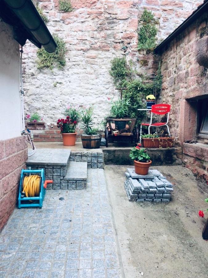 Neckarblick,Natur, Altstadt Хиршхорн Экстерьер фото