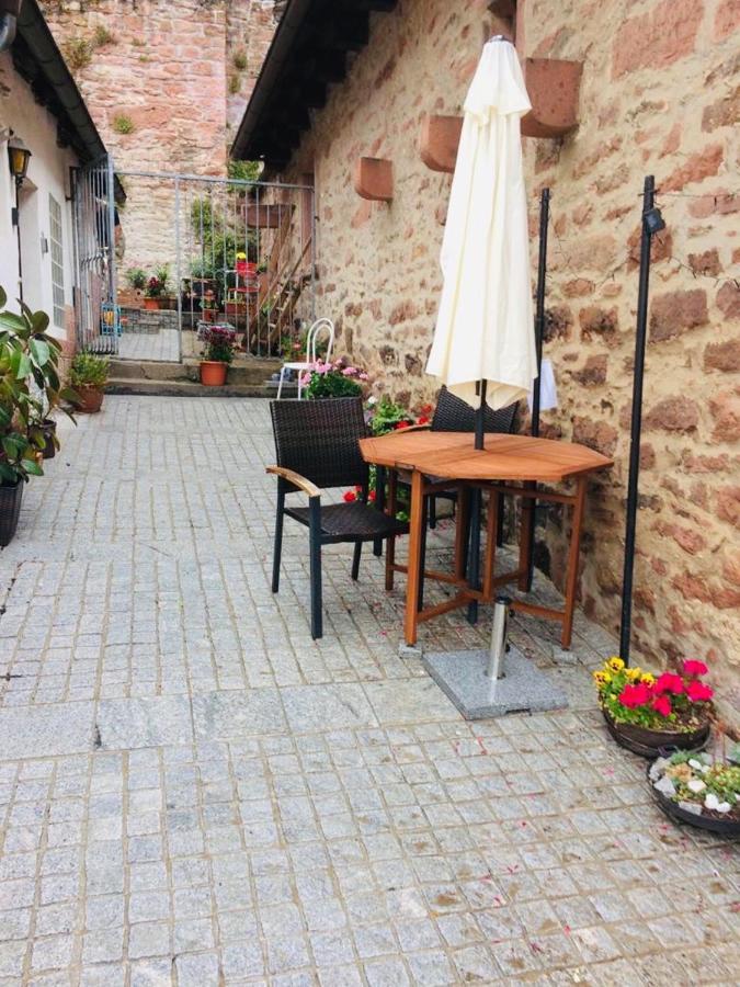 Neckarblick,Natur, Altstadt Хиршхорн Экстерьер фото