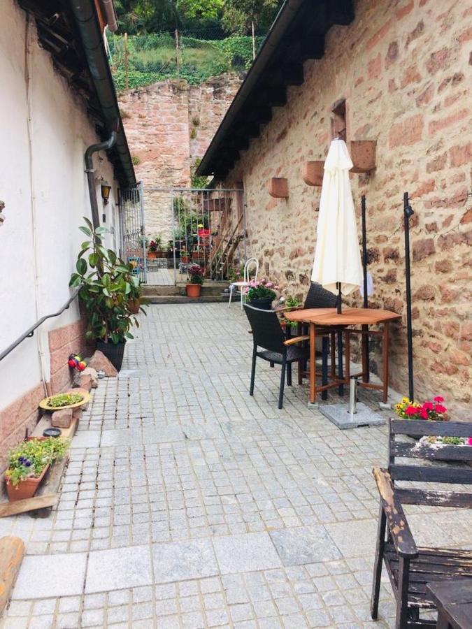 Neckarblick,Natur, Altstadt Хиршхорн Экстерьер фото