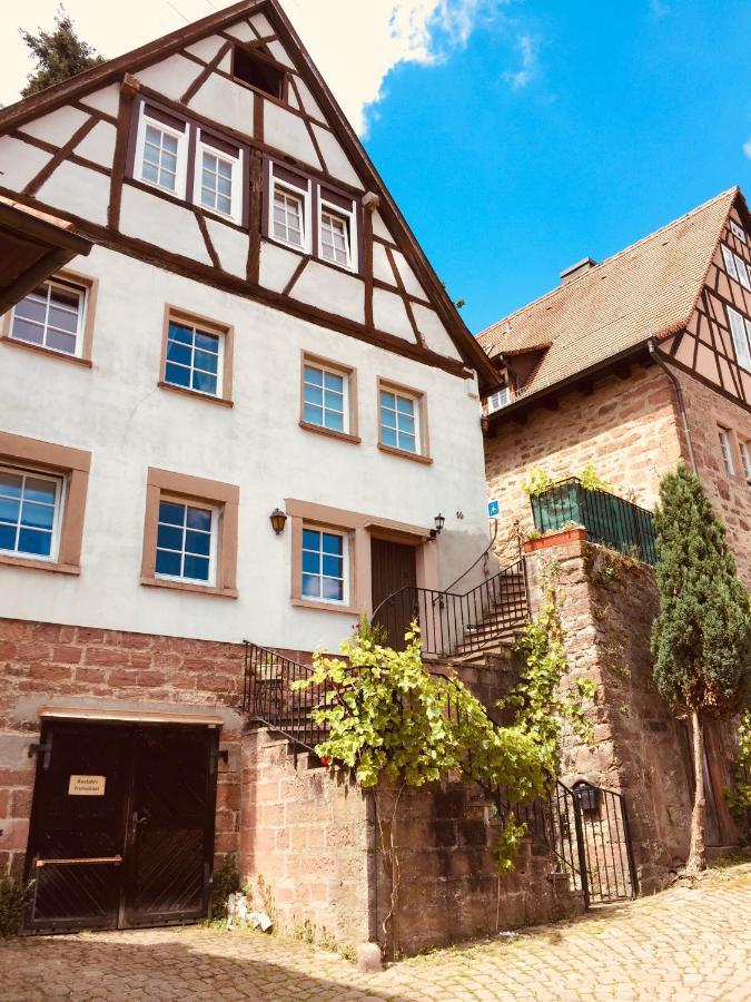 Neckarblick,Natur, Altstadt Хиршхорн Экстерьер фото