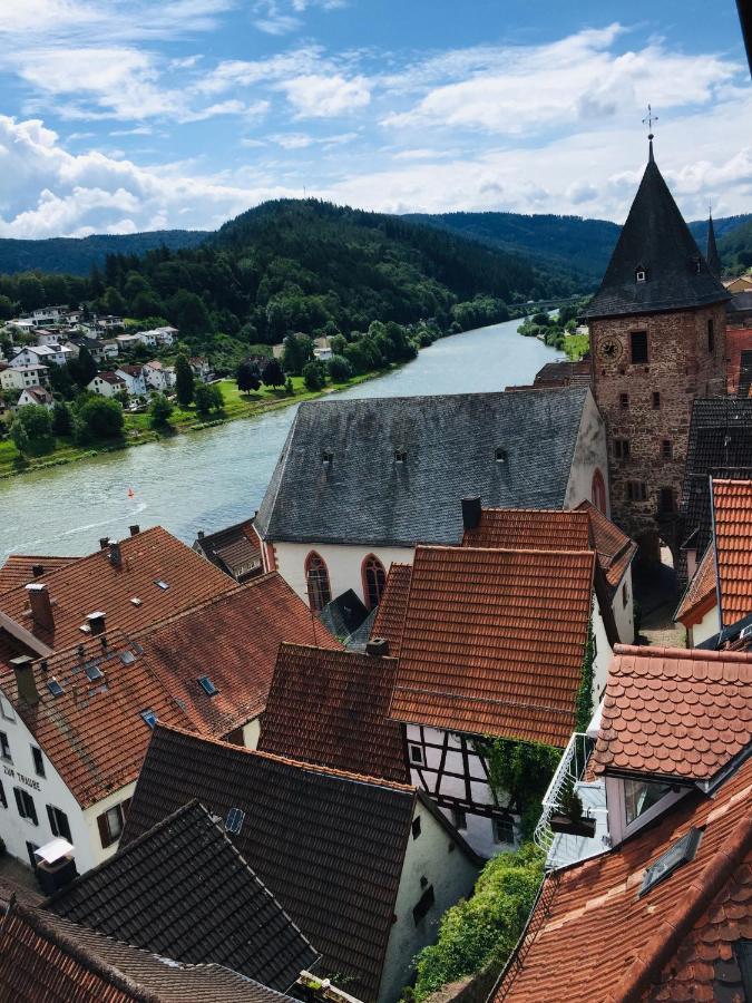 Neckarblick,Natur, Altstadt Хиршхорн Экстерьер фото