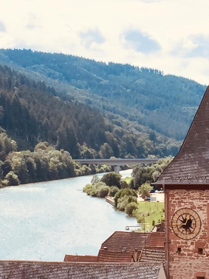Neckarblick,Natur, Altstadt Хиршхорн Экстерьер фото