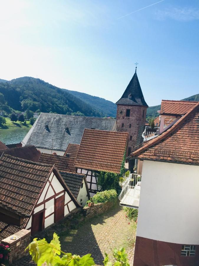 Neckarblick,Natur, Altstadt Хиршхорн Экстерьер фото