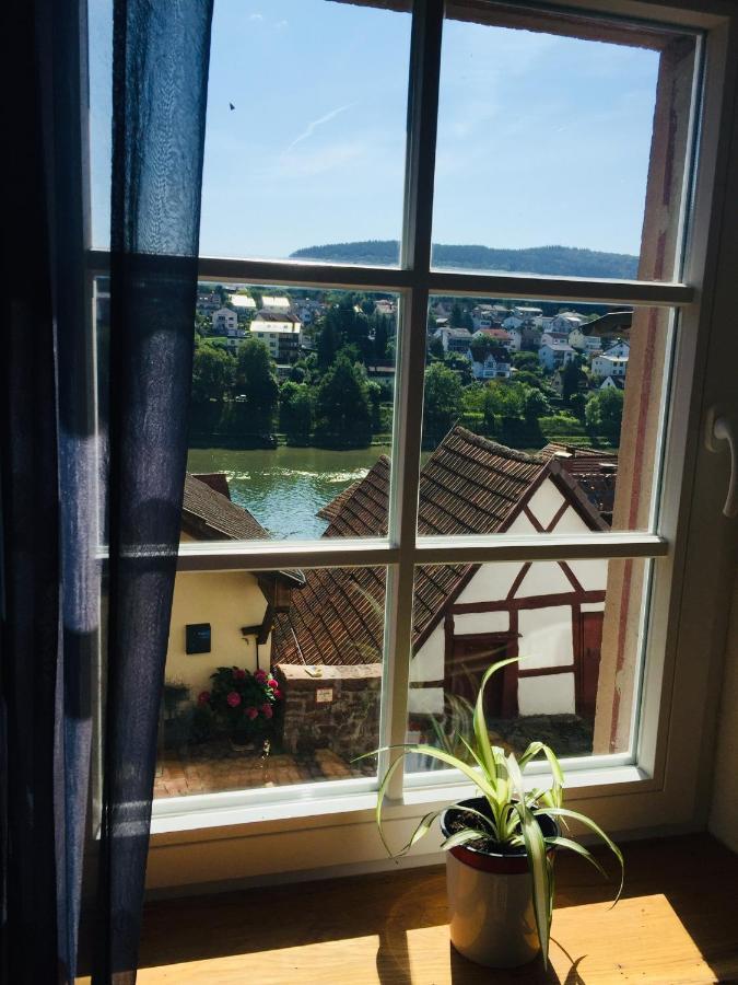 Neckarblick,Natur, Altstadt Хиршхорн Экстерьер фото