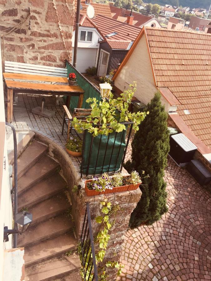 Neckarblick,Natur, Altstadt Хиршхорн Экстерьер фото