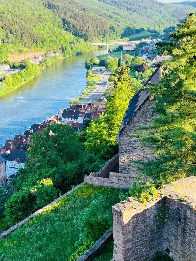 Neckarblick,Natur, Altstadt Хиршхорн Экстерьер фото