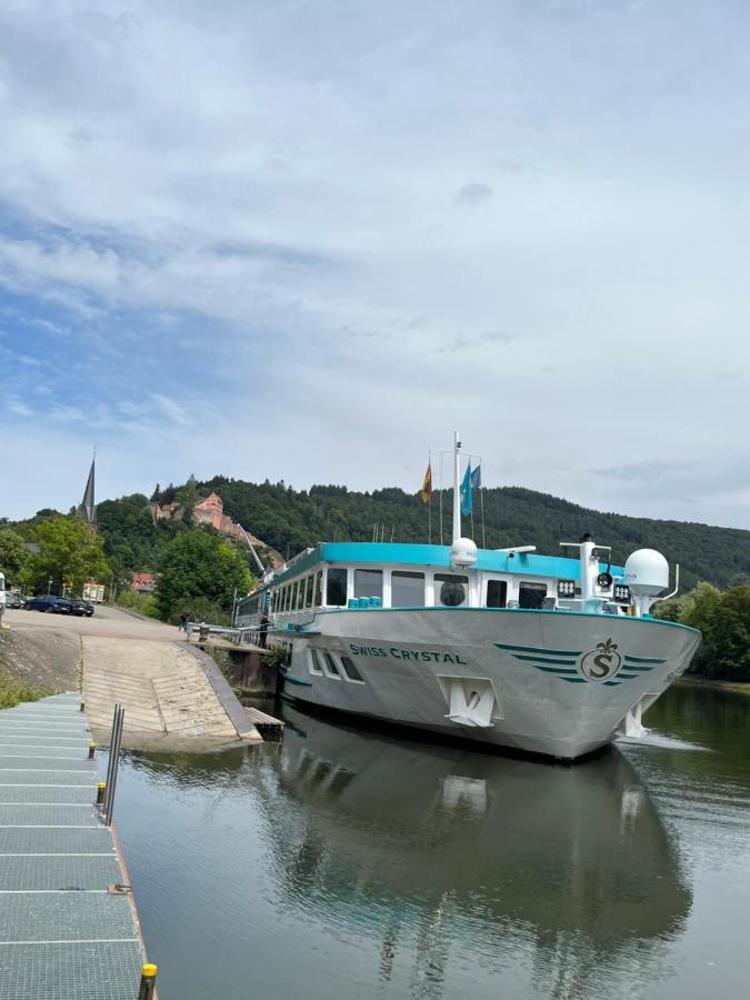 Neckarblick,Natur, Altstadt Хиршхорн Экстерьер фото