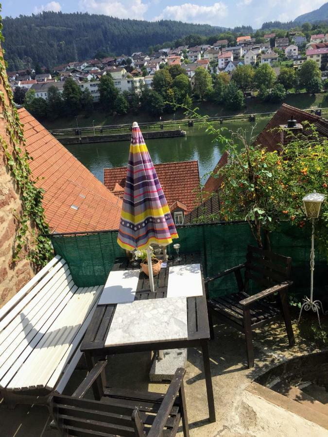 Neckarblick,Natur, Altstadt Хиршхорн Экстерьер фото